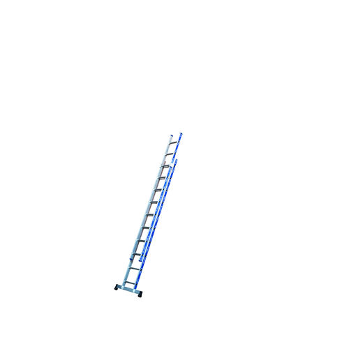 Pro Platinium Extension Ladders (1102-029)